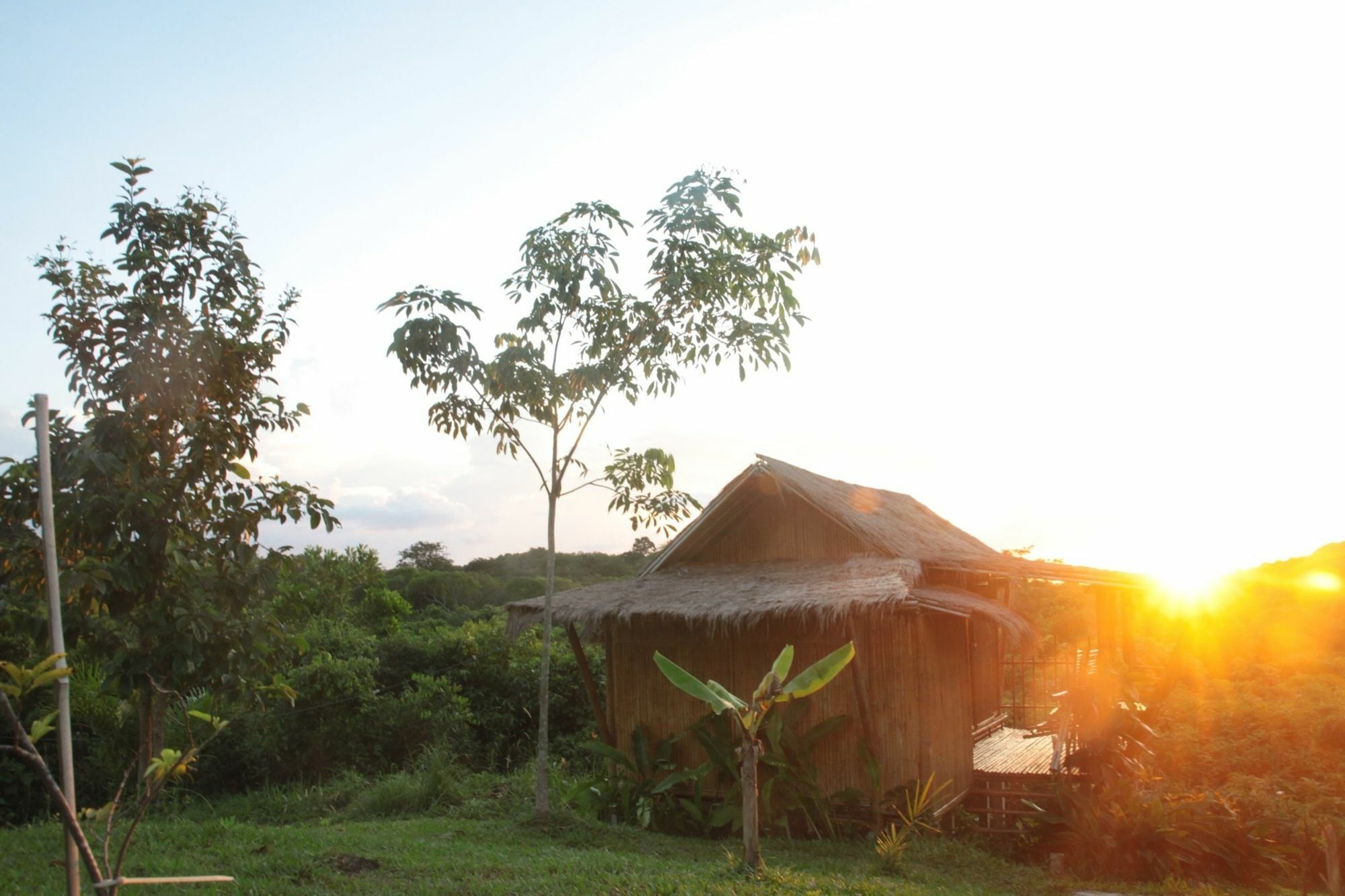 Phuree Hut Koh Phayam Exteriér fotografie